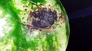 Experiment: Liquid Nitrogen Vs Watermelon