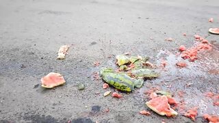 Experiment: Car Vs Watermelons