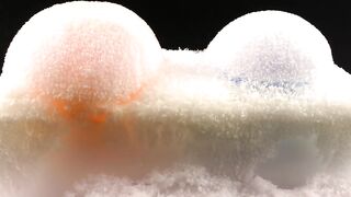 EXPERIMENTS  Orbeez in Liquid Nitrogen & Dry Ice