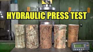 Which is the Strongest Tree? Hydraulic Press Test!
