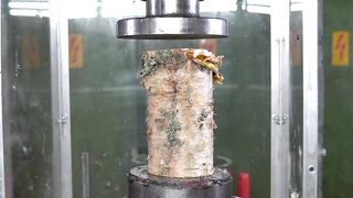 Which is the Strongest Tree? Hydraulic Press Test!