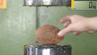 Crushing Fruits with Hydraulic Press Satisfying Compilation VOL1