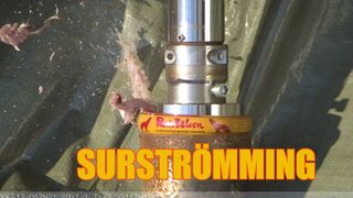 Crushing Surströmming with Hydraulic Press