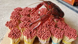 5,000 matches toast a pound of lobster