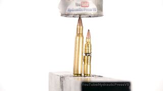 Bullets vs Hydraulic Press - Different ammunition