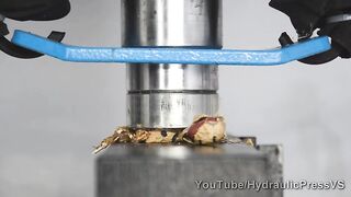 Our Nuts vs Hydraulic Press - Crushing our Nuts!