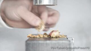 Our Nuts vs Hydraulic Press - Crushing our Nuts!