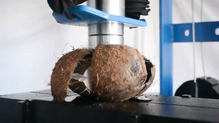 Coconut vs Hydraulic Press