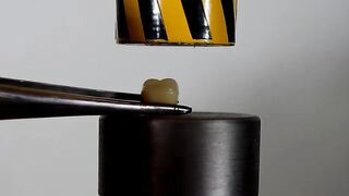 HYDRAULIC PRESS VS HUMAN TOOTH, HOW STRONG IS THE TOOTH