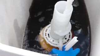 Reaction: Cola and Mentos inside the Toilet