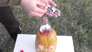 Experiment: Pumpkin Vs Coca-Cola and Mentos
