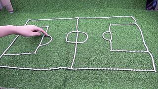 Magnetic football pitch | Funny pet | Top 10 Magnetics