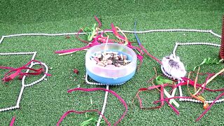 Magnetic football pitch | Funny pet | Top 10 Magnetics