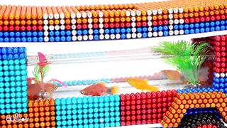 BuPi Show Making Fish Tank Car from Magnetic Balls - How to do this (ASMR Satisfying & Relax) DIY 4K