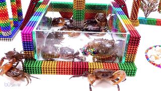 DIY - Building Castle With Underground Swimming Pool for Crab From Magnetic Balls - BuPi Show 4K