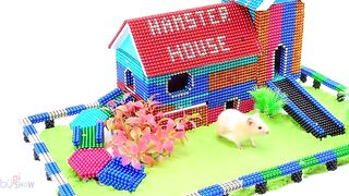 ASMR - How To Build Amazing Hamster House With Magnetic Balls, Let I Do This - BuPi Show 4K [P #18]
