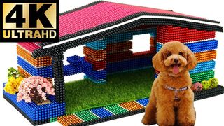 DIY - How To Build House Dog from Magnetic Balls Satisfaction 100% ASMR - BuPi Show 4K