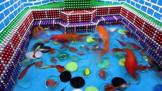 DIY - Build Temple For Turltle And Fish Pond With Magnetic Balls (Satisfying) - WOW Magnet