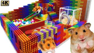 DIY - Build Fun Playground For Couple Hamster Pet With Magnetic Balls | ASMR | WOW Magnet