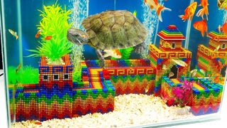 DIY - Build Great Wall In Aqurium For Turtle, Fish With Magnetic Balls (Satisfying) - WOW Magnet