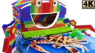 ASMR - Build Amazing Crab House, Swimming Pool With Magnetic Balls Magnet (Satisfying) -  WOW Magnet