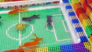 DIY - Build Swimming Pool Stadium For Fish With Magnetic Balls (Satisfying) - Magnet Satisfying