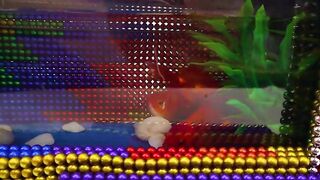 DIY - How To Make Amazing Aquarium Goldfish Mcdonald Car From Magnetic Balls | ASMR Satisfying Video