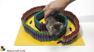 Humor -Building Circle Domino Labyrinth For Kittens From Magnetic Orb (Satisfying)|Magnet ball world