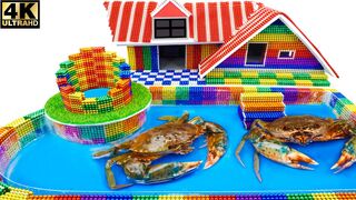 How To Build House, Swimming Pool, Ground water For Giant Crab From Magnetic Balls (Satisfying)