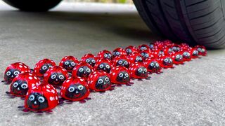 Experiment Car vs Ladybug Chocolate | Crushing Crunchy & Soft Things by Car