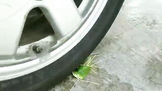 ODDLY SATISFYING Tire Crushing Crunchy & Soft Things By Car! (Slime, Floral foam)